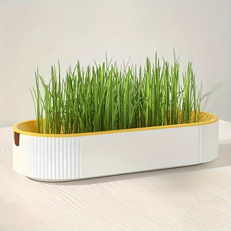 Hydroponic Cat Grass Growing Kit with Durable Tray Indoor Gardening