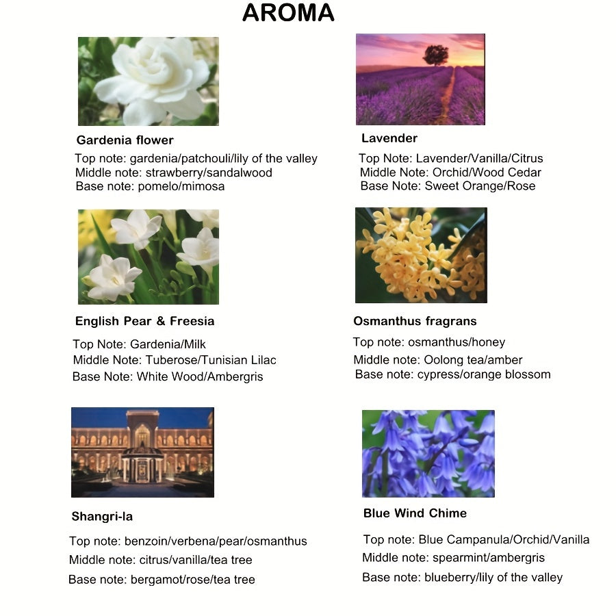 Reed Diffuser Set 50ml with Dry Flower Canes for Home Fragrance and Odor Elimination