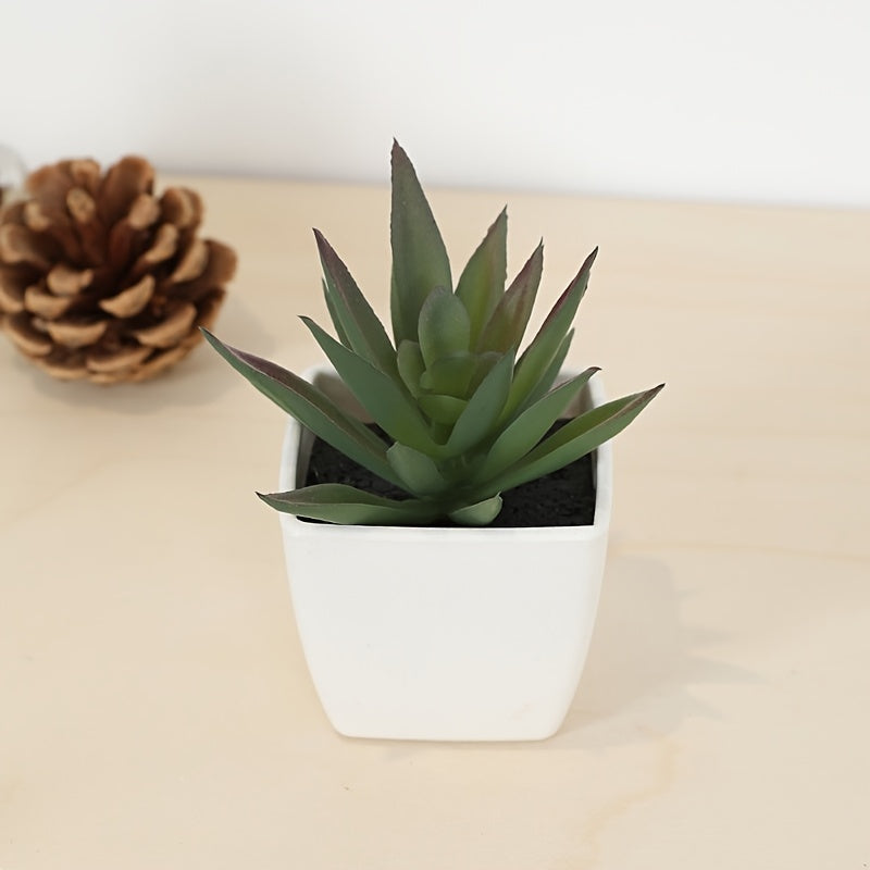 Mini Realistic Succulent Plant Indoor Houseplant for All Decor Styles