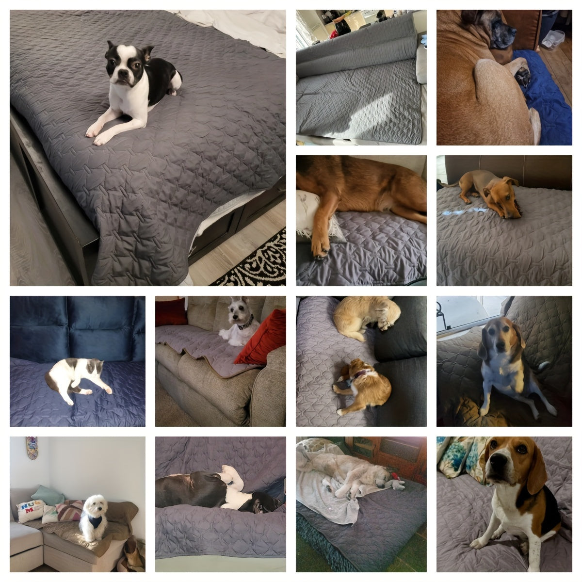 Waterproof Dog Blanket Sofa Couch Furniture Protectors Large Small All Sizes