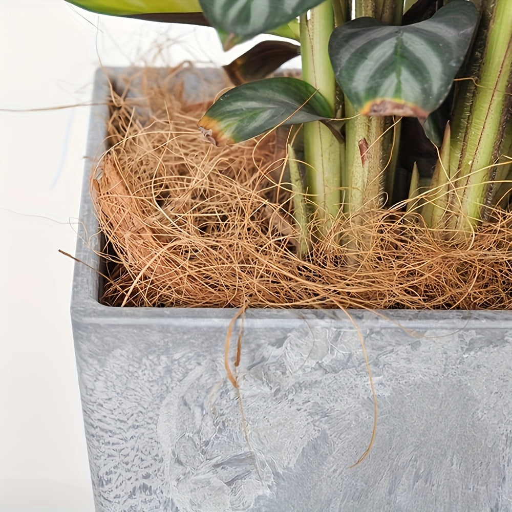 100g Natural Coconut Fiber for Bird Nests DIY Crafts Green Plants