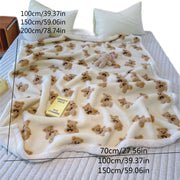 Two-Ply Cartoon Bear Fleece Blanket Ultra Soft Stain-Resistant Throw for Couch Bed