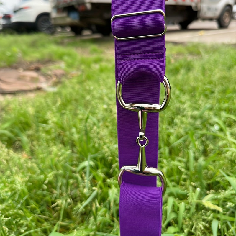 Women's Elastic Waist Belt with Metal Buckle Adjustable Stretchable Accessory