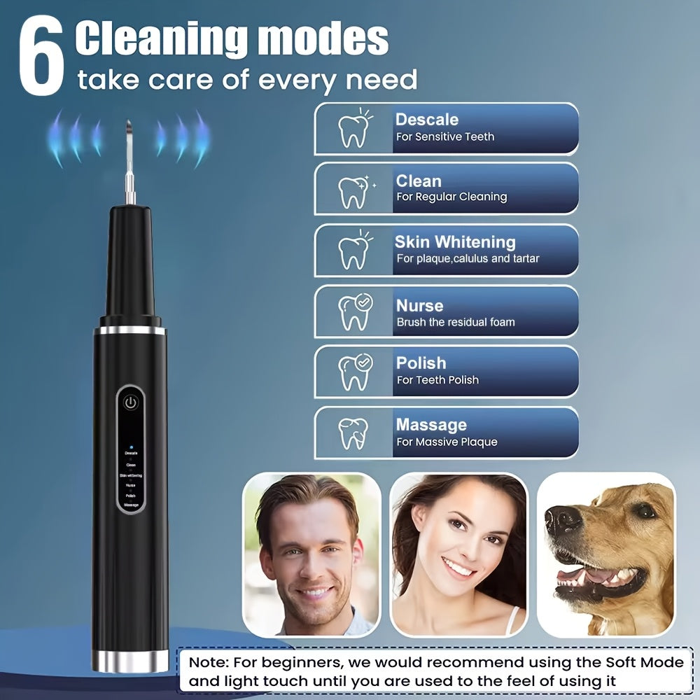 Elektr pet tish tozalash uchun 6 darajali LED yoritgich va almashtiriladigan boshli tish tozalash qurilmasi