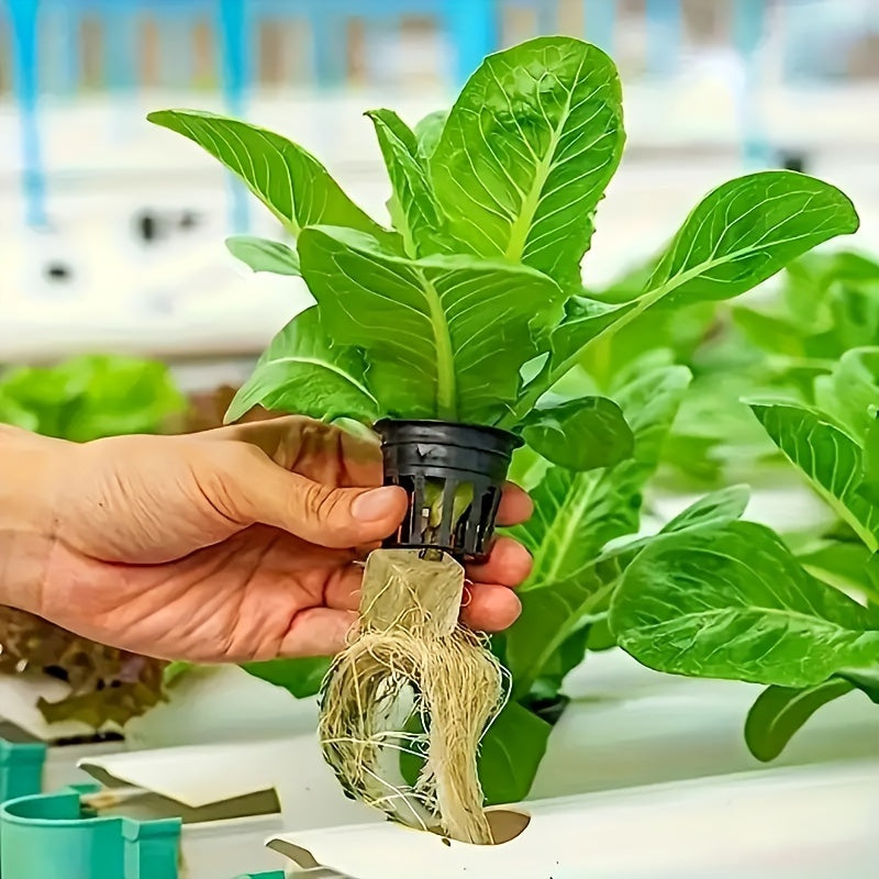 100 O'simlik ekish kubiklari qishloq xo'jaligi bog'lari maydonlari suv ombori uchun, tuproqsiz etishtirish