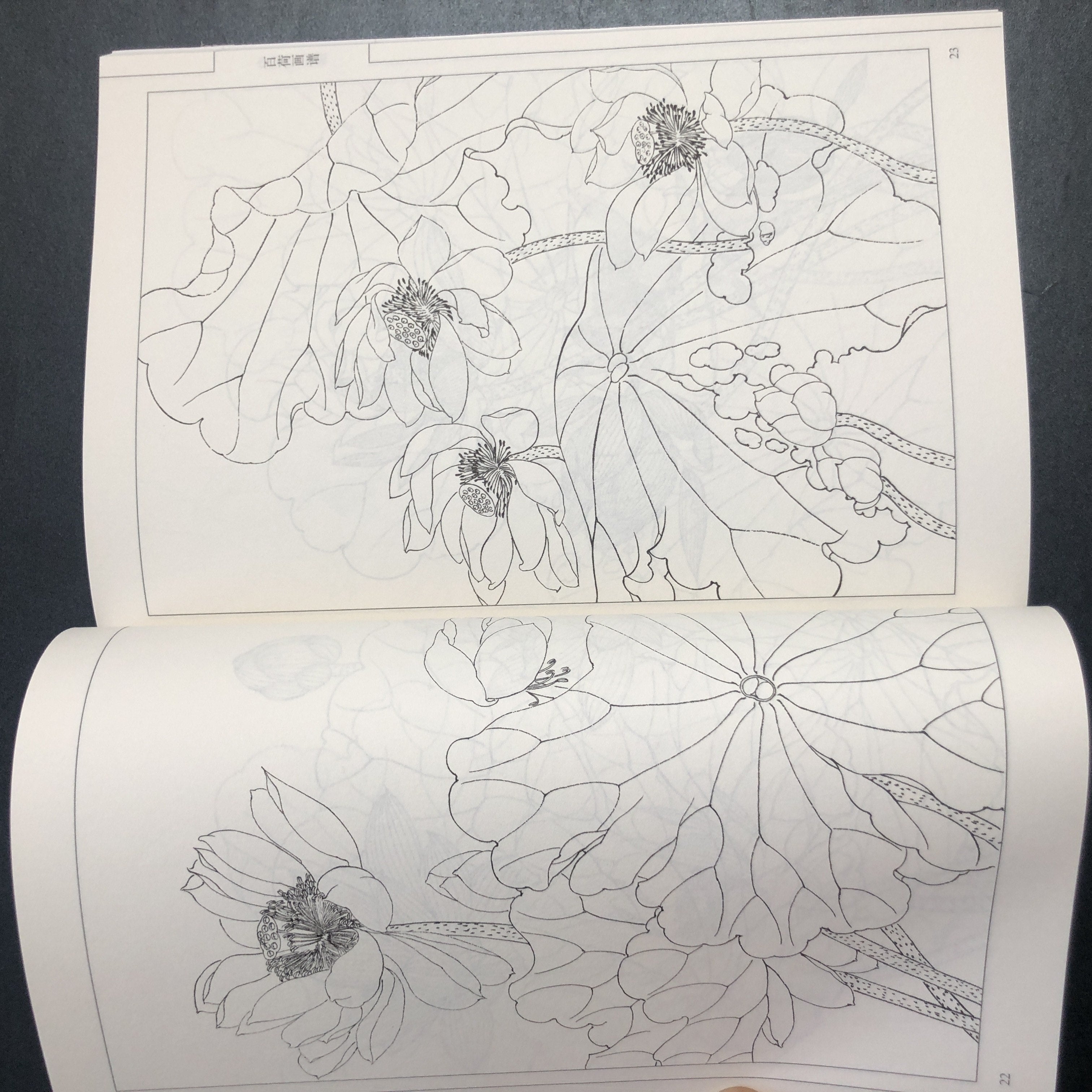 Chinese Traditional Art Painting Manual Paperback Chinese Language