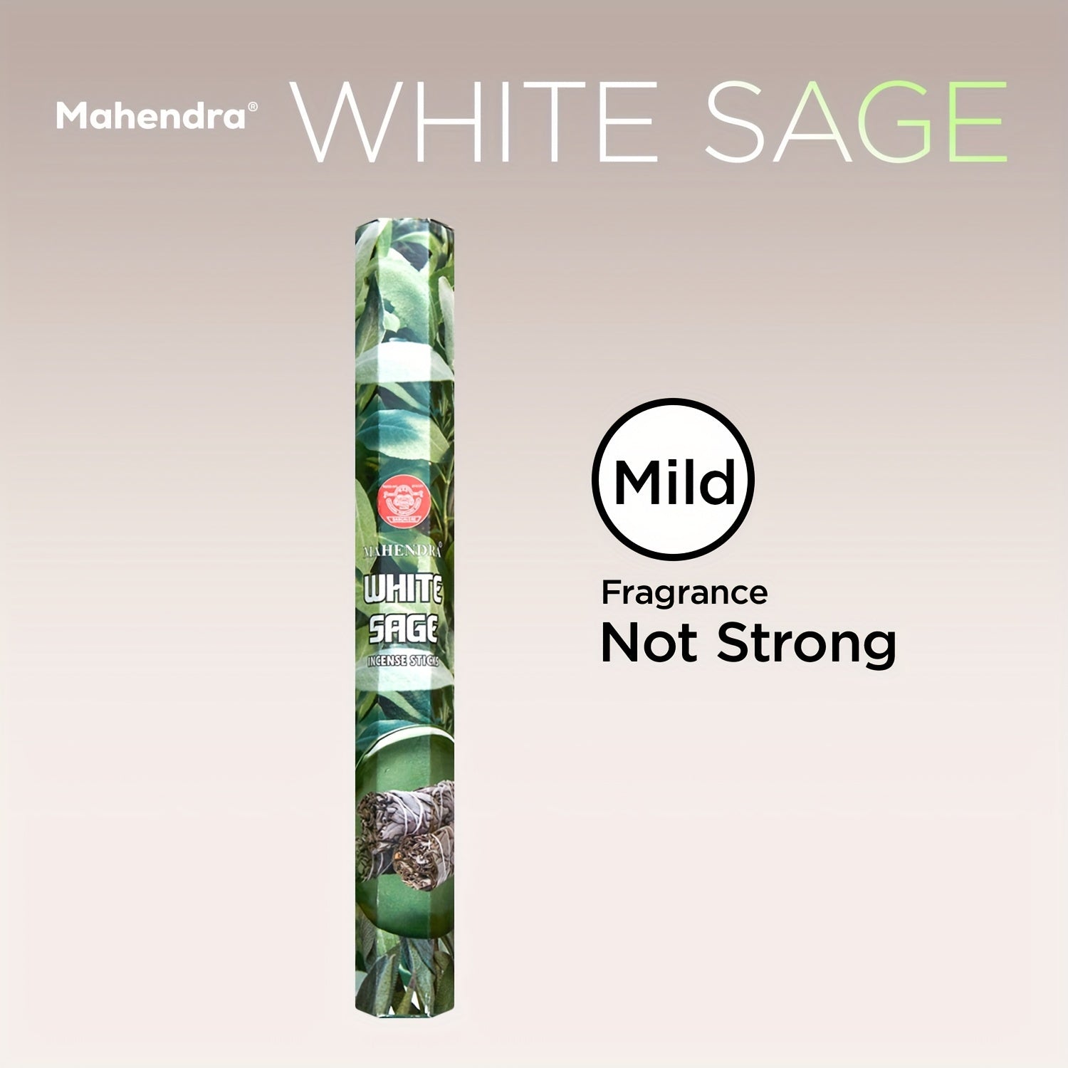 Incense 20-Pack Spice Scented Variety Set for Yoga Meditation Home Fragrance Sandal White Sage Musk Rose Citronella Patchouli Lavender