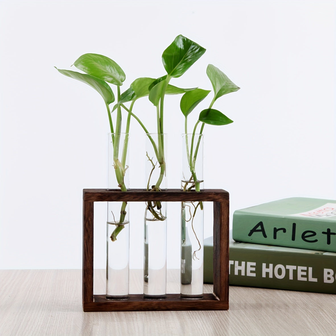 Glass Plant Container with Wooden Stand and Test Tubes for Hydroponic Indoor Gardening