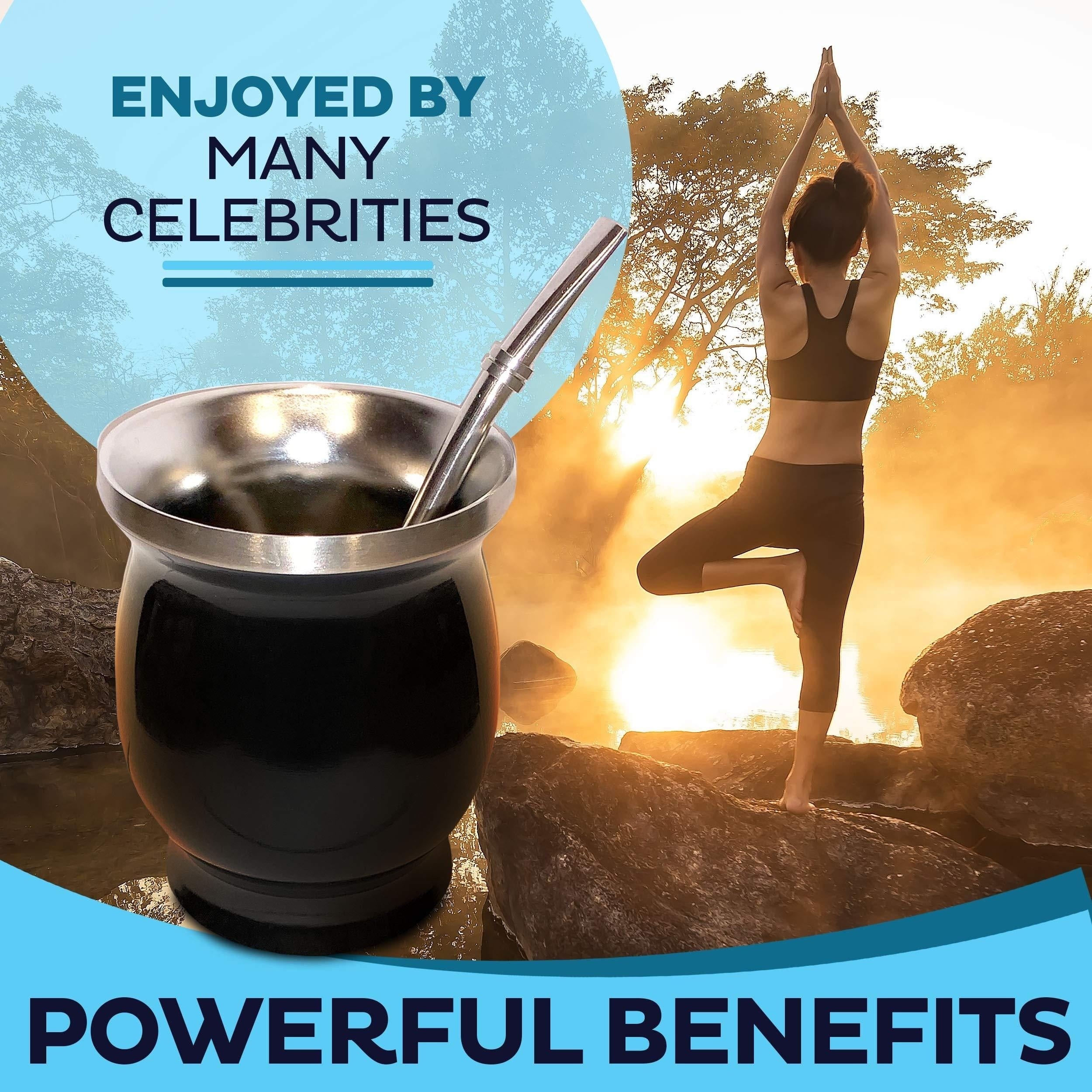 8oz Stainless Steel Yerba Mate Cup and Bombilla Set with Brush and Straw