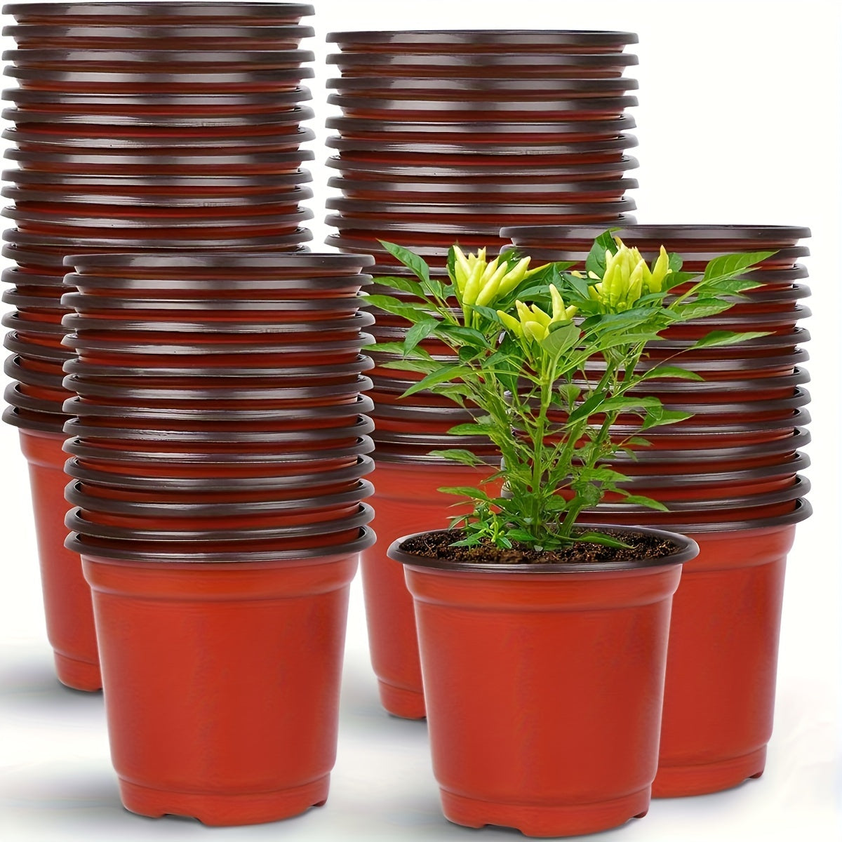 50-Pack Plastic Cone Seedling Cups with Drainage Holes for Indoor Outdoor Planting