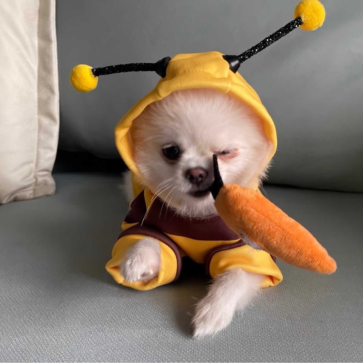 Pet Costume Hoodie for Small to Medium Cats and Dogs Under 8kg Woven Polyester Bee Design
