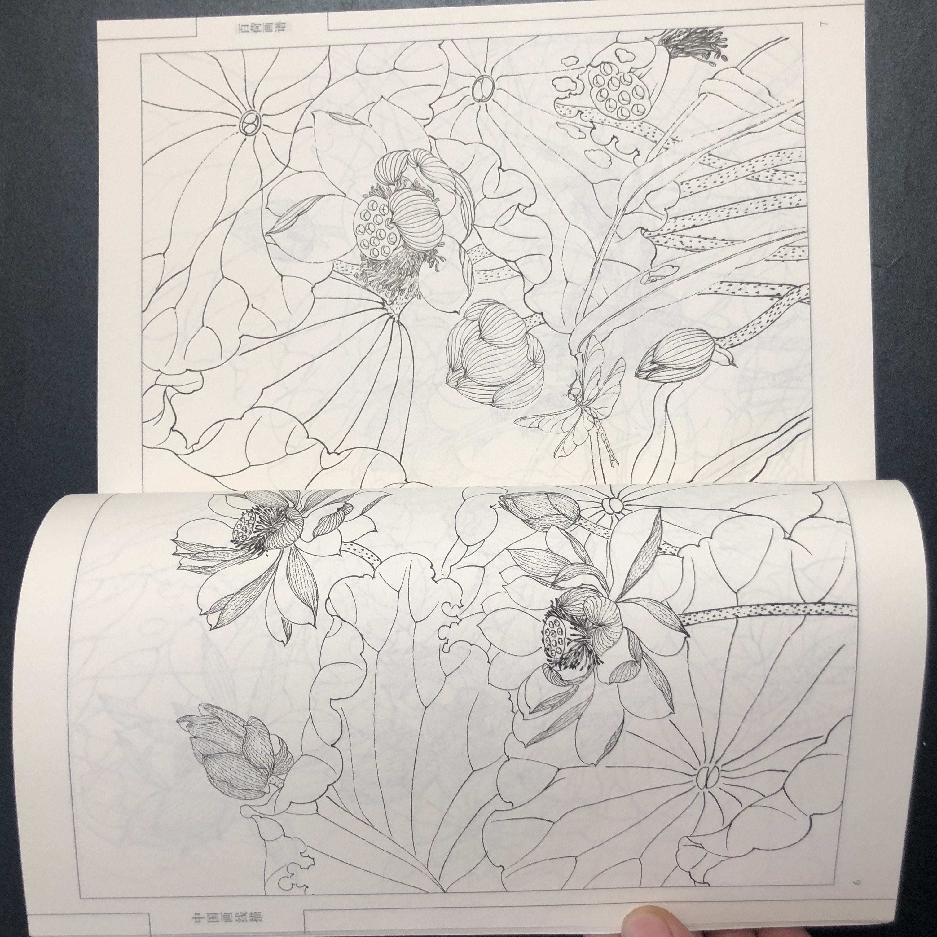 Chinese Traditional Art Painting Manual Paperback Chinese Language