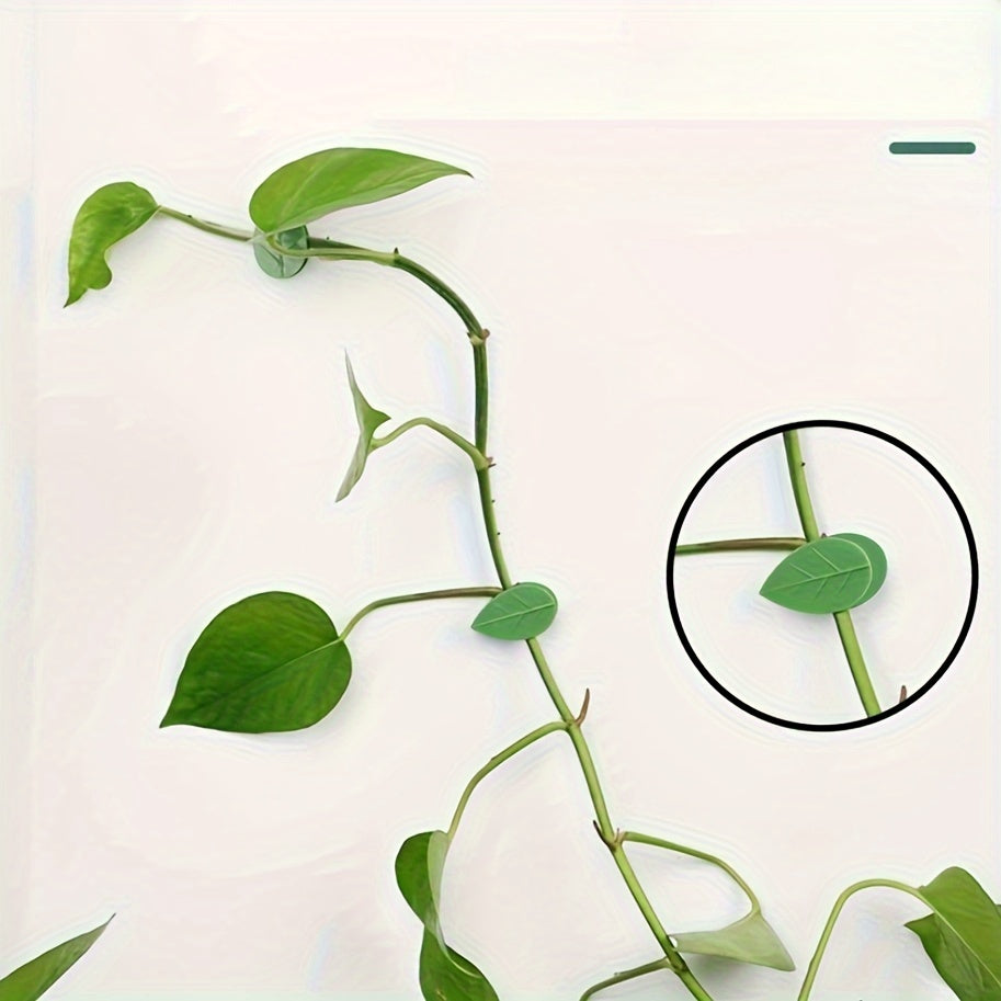 Invisible Plant Climbing Wall Fixtures 10/30/50 Pack Plastic Support Clips for Vines and Cables