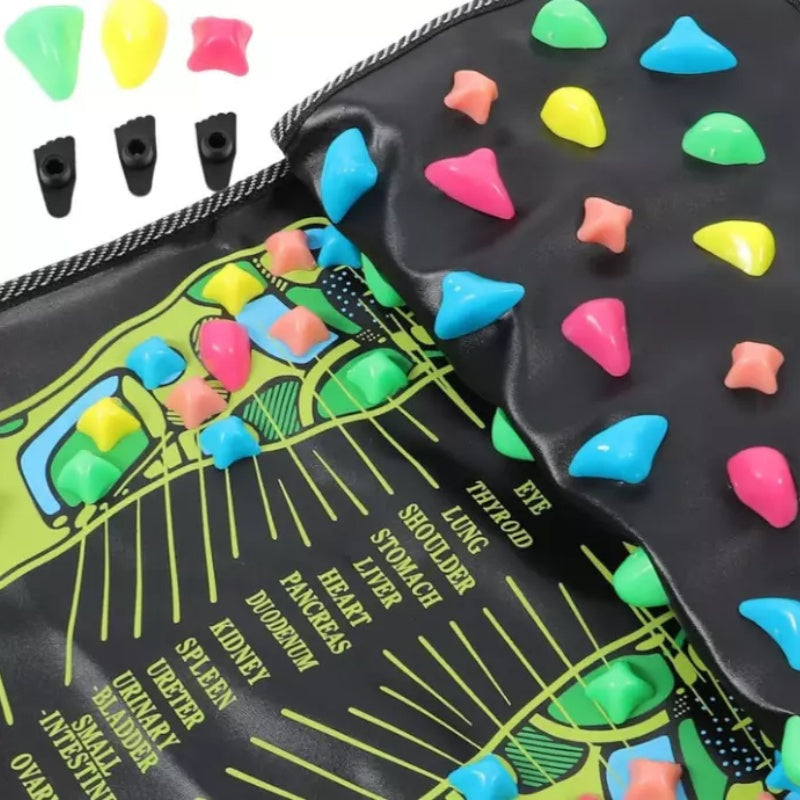 Refleksologiya terapiya pad bilan akupressura oyoq massaji mat, faux terida bosimni kamaytirish va oyoq parvarishi va dam olish uchun akupunktura nuqtalari xaritasi bilan.