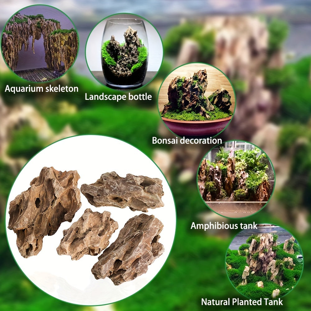4 Small Natural Stone Dragon Bone Aquarium Landscape Stones for Fish Tank
