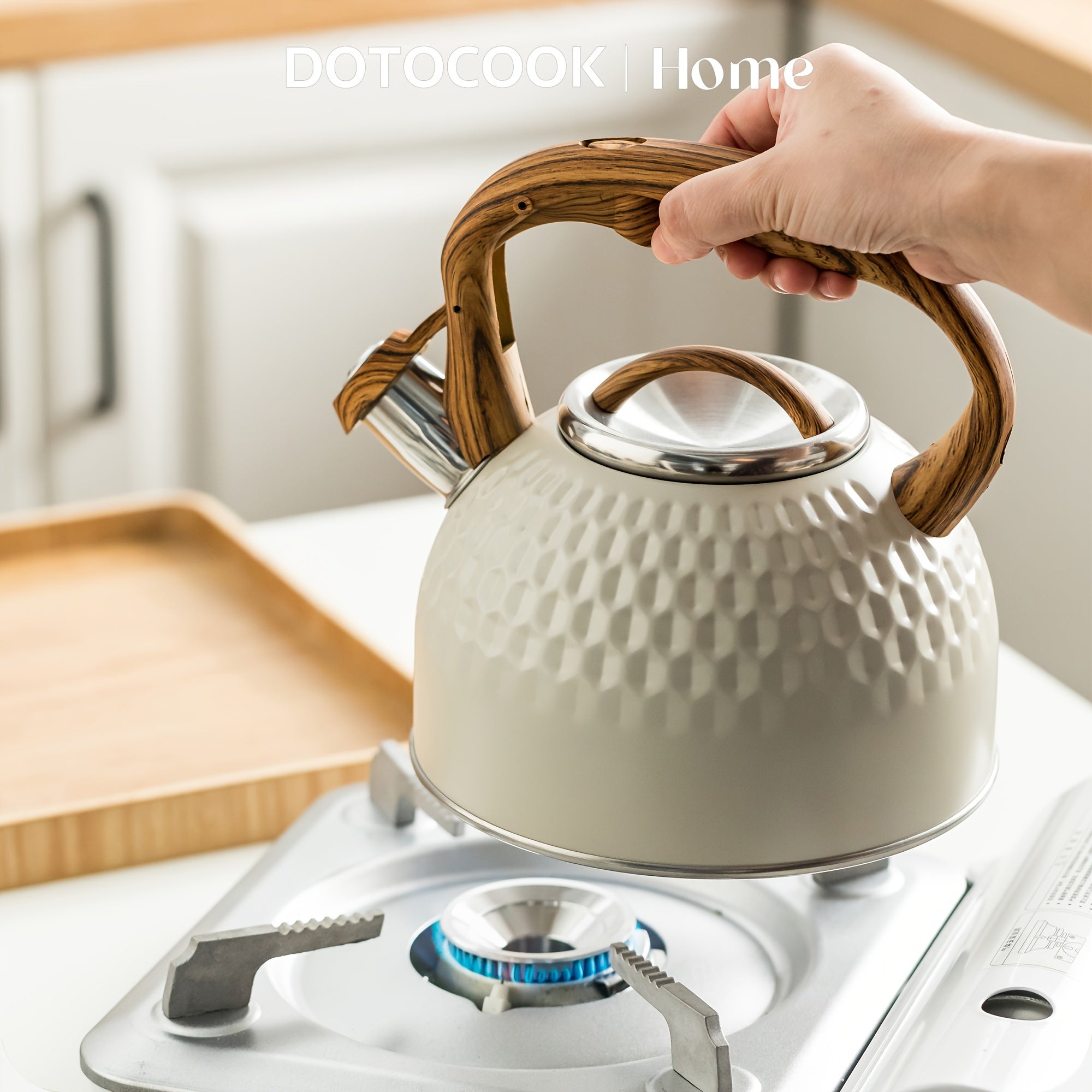 Stainless Steel 2.5L Tea Kettle with Wooden Handle, Loud Whistle, Button Control
