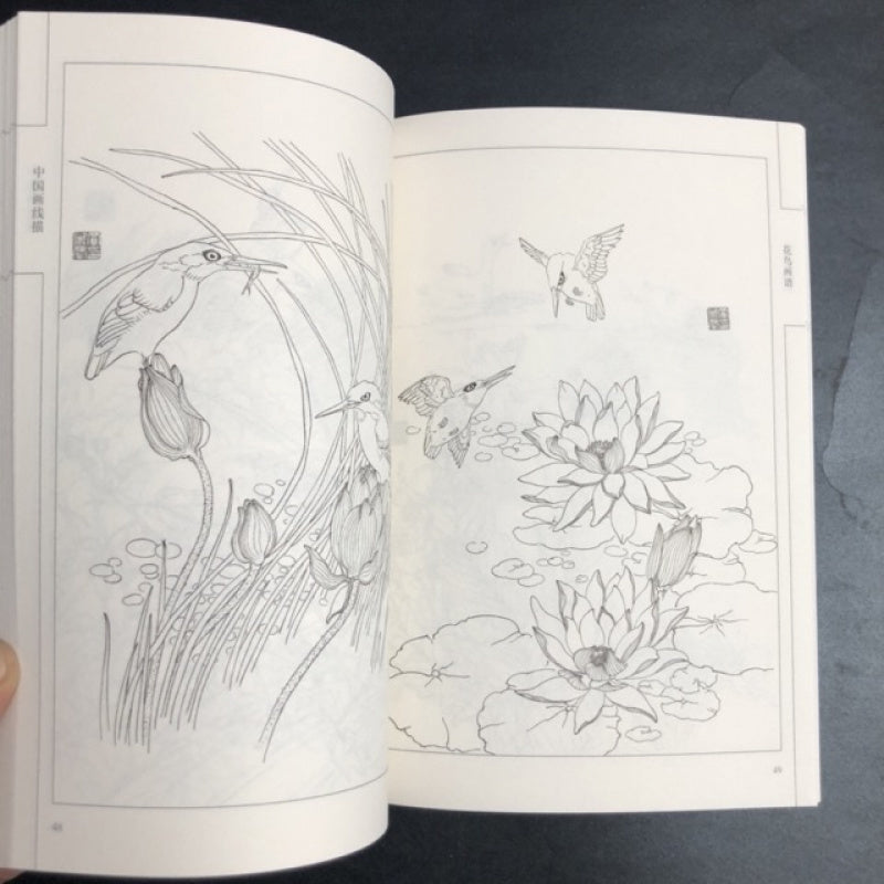 Chinese Flower and Bird Painting Manual with Line Drawings Art Book