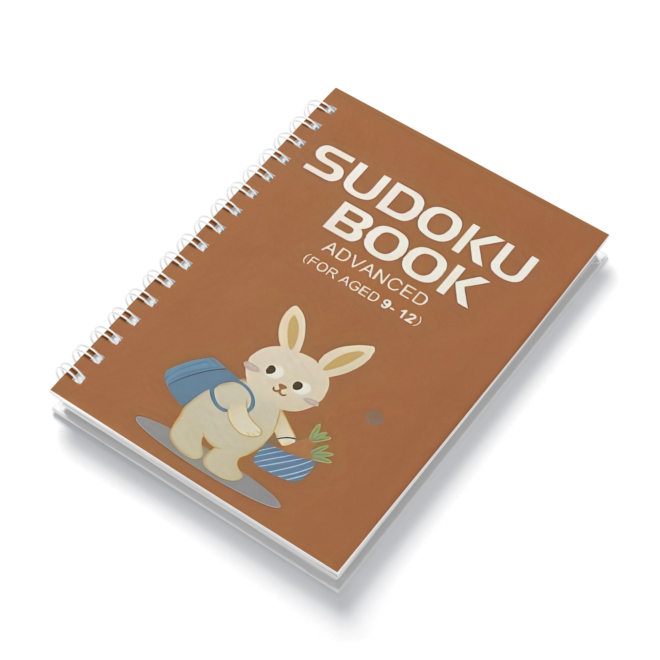 2024 Advanced Sudoku Puzzle Book for Beginners English Language Focus Problem-Solving Skills