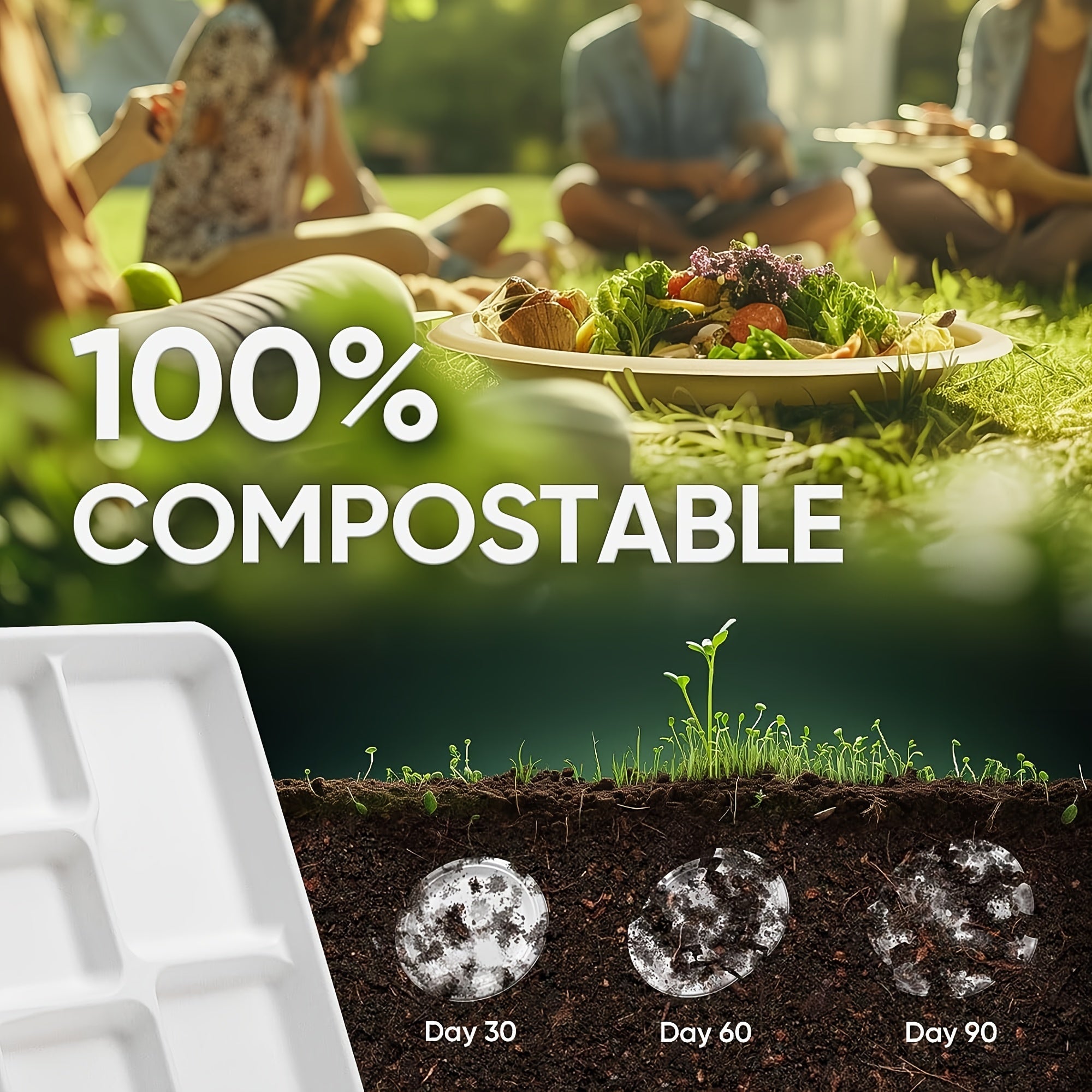 50-Pack Compostable Dinner Plates with 5 Compartments for Parties and Picnics