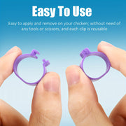 100 Pack Poultry Leg Bands in 5 Colors for Chickens Ducks and Geese