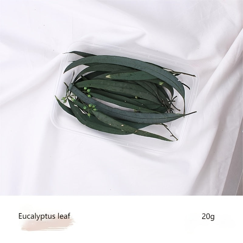 Бохо-Шик Рождественский Набор для Ремесел: Натуральный Растительный Декор для DIY Проектов, Венков и Подарков