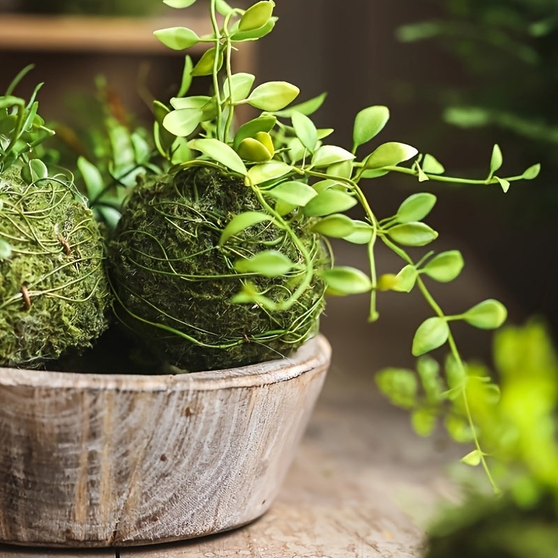 Round Clay Moss Plant Container for Air Plants Succulents Indoor Outdoor