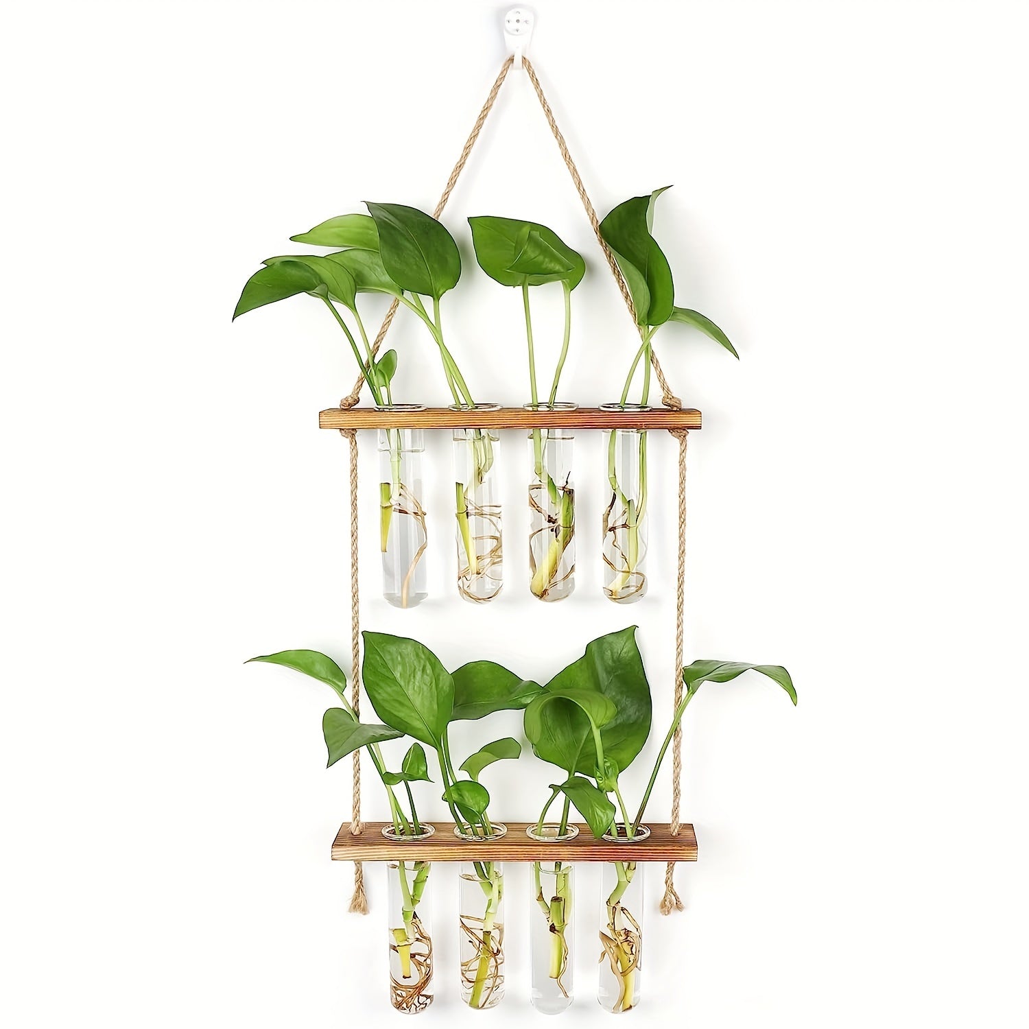 Vintage Plant Propagation Station with 8 Glass Tubes Wooden Frame Indoor Decor
