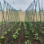 50 Pack Metal Garden Stakes 89.92cm with Accessories for Plant Support