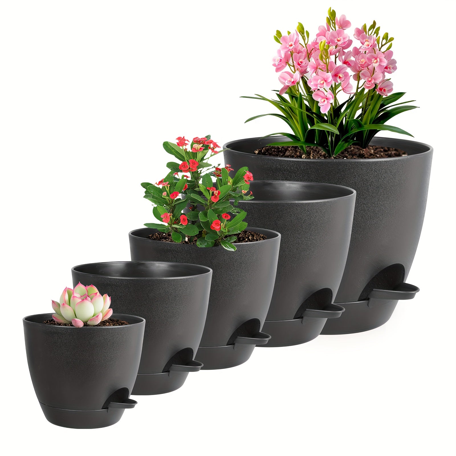 Olisx o'z-o'zini sug'oradigan o'simlik idishlari 5 o'lchamda mavjud bo'lib, ko'plab bog'dagi o'simliklar uchun ideal, sukulentlar va Afrika violetlari uchun minimalist dizaynga ega.