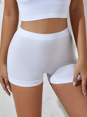 Women's Ribbed Mid-Rise Boyshort Panties Seamless Nylon Spandex Underwear