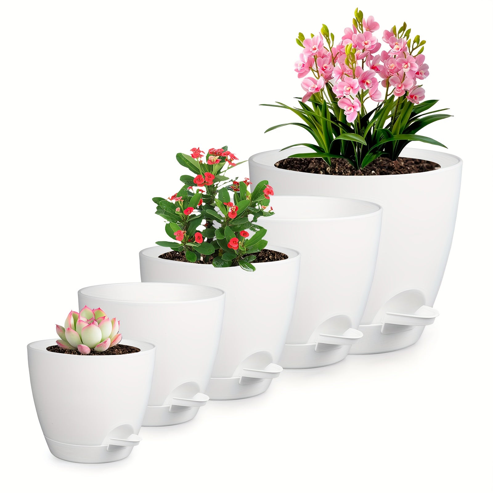 Olisx o'z-o'zini sug'oradigan o'simlik idishlari 5 o'lchamda mavjud bo'lib, ko'plab bog'dagi o'simliklar uchun ideal, sukulentlar va Afrika violetlari uchun minimalist dizaynga ega.