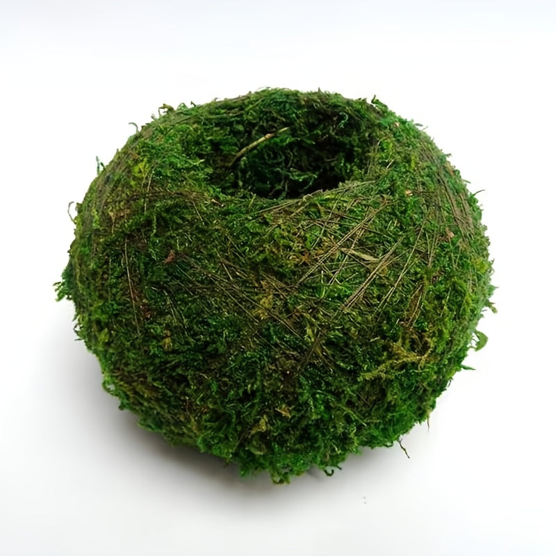Round Clay Moss Plant Container for Air Plants Succulents Indoor Outdoor