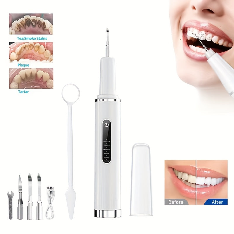 Elektr pet tish tozalash uchun 6 darajali LED yoritgich va almashtiriladigan boshli tish tozalash qurilmasi