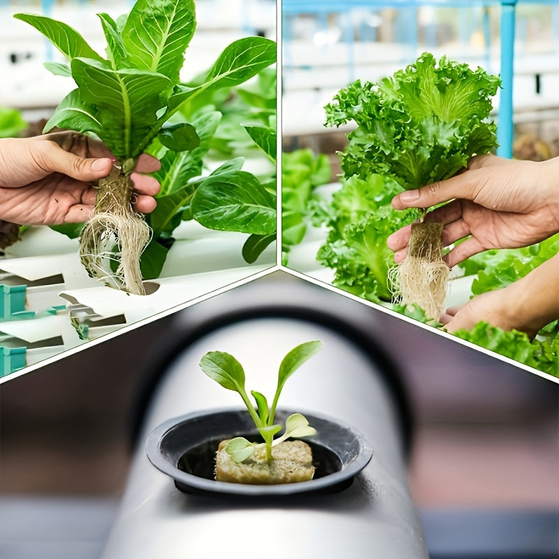 Hydroponic Rock Wool Cubes 2.49cm Seed Starter Plugs 50 Acupoints 500/1000 Pack