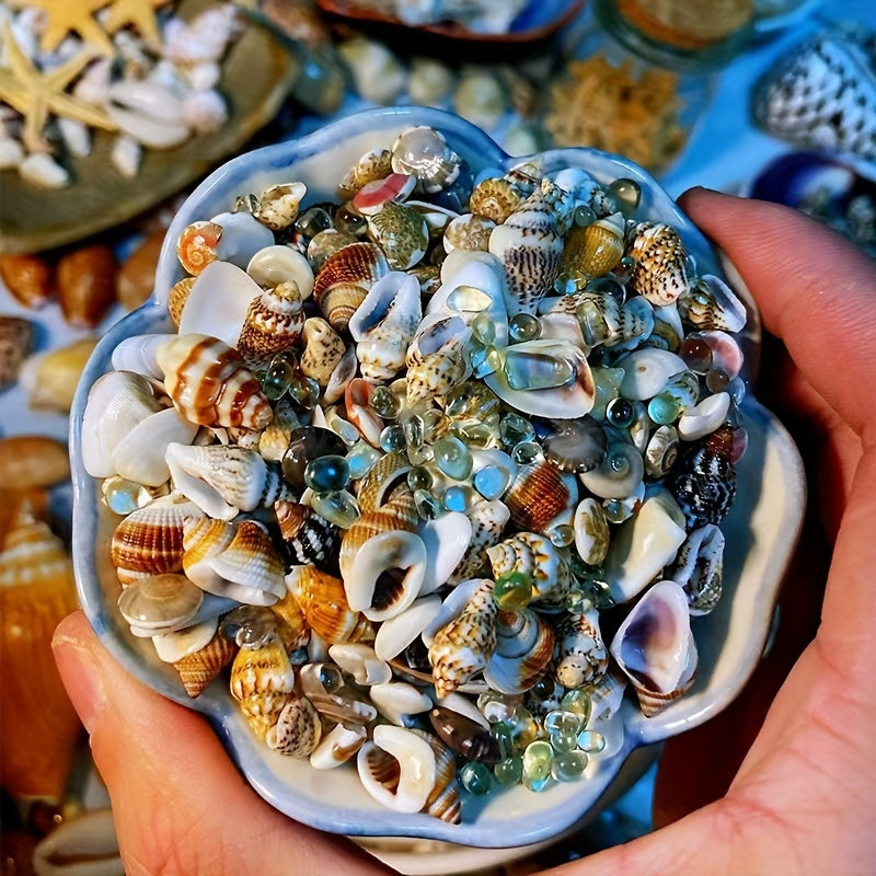 Assorted Sizes 0.6cm-1.2cm Natural Conch Shells for Aquarium Fish Tank Decorations 100/300/600 Pieces