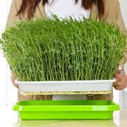 Large Capacity Microgreens Seed Sprouting Trays Soil-Free Plastic Indoor Outdoor