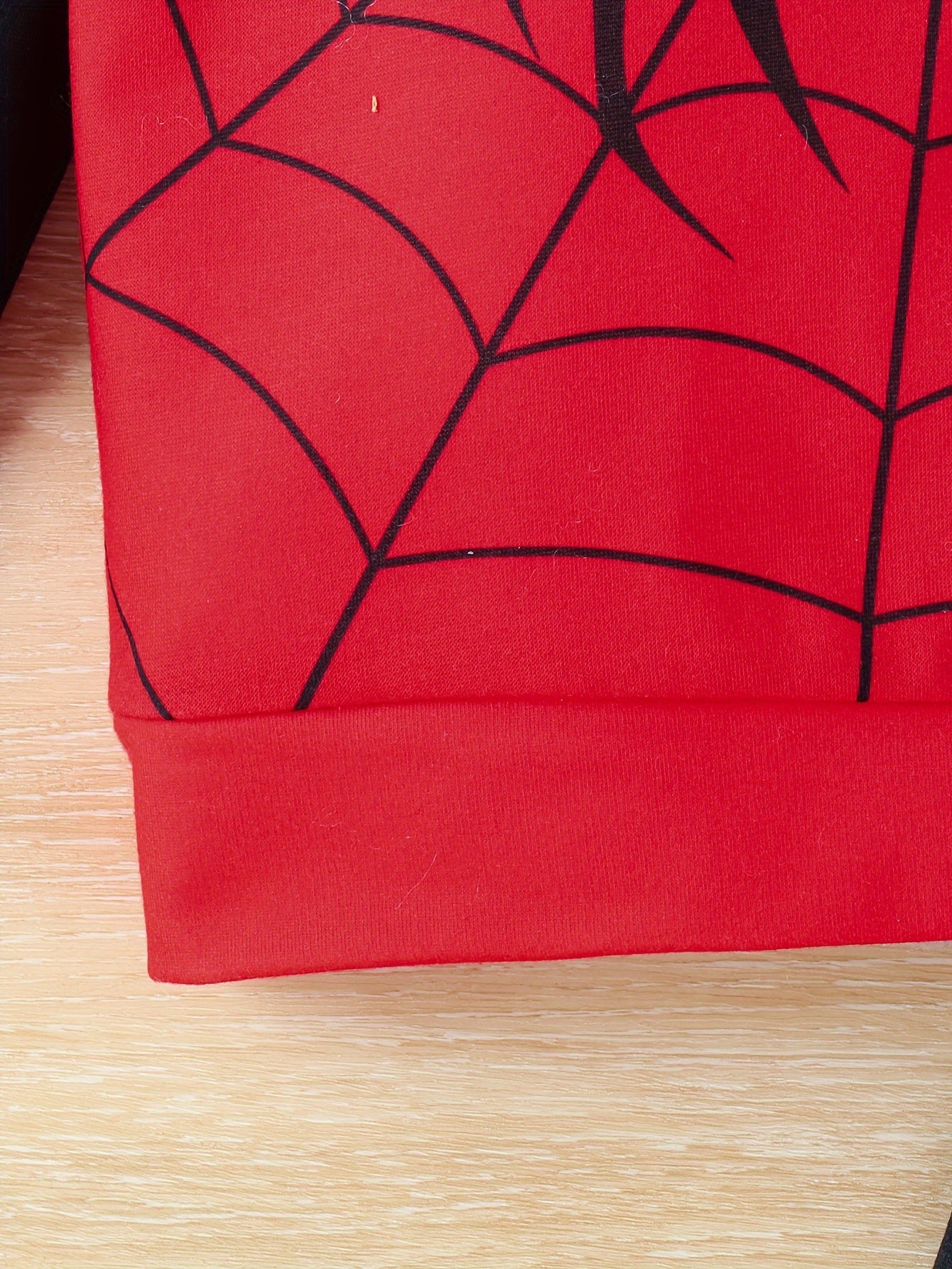 Boy's Spider Print Hooded Outfit Set Web Pattern Spring Fall 2pcs