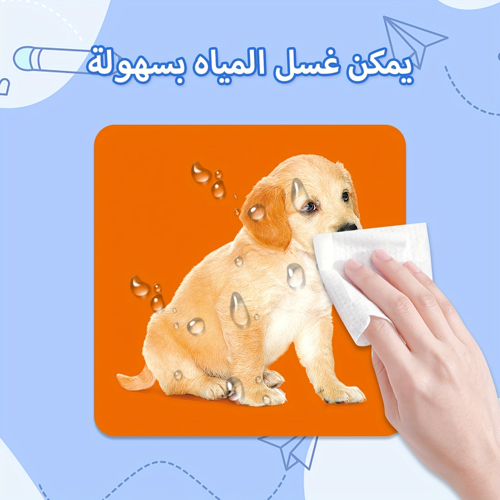 54-Card Arabic Language Learning Flashcards for Kids Ages 1-6 Educational Animal Vocabulary Set