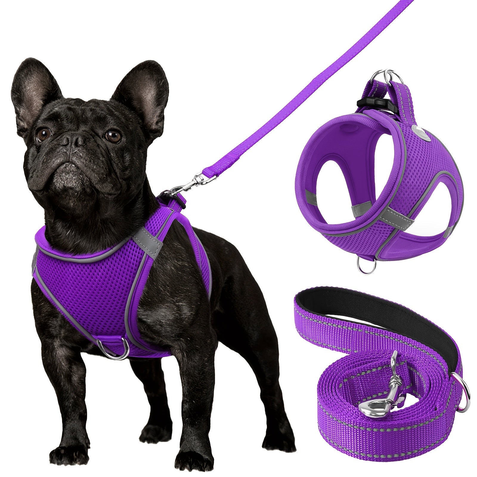Reflective Dog Harness and Leash Set for Small to Medium Breeds Mesh Padded Nylon No-Choke Safety