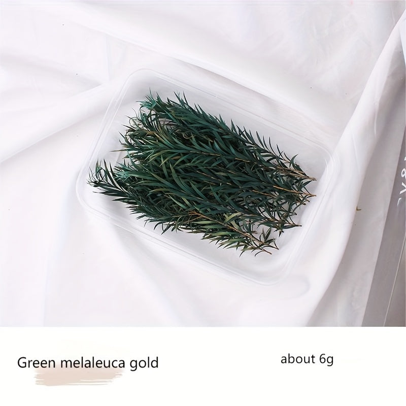 Бохо-Шик Рождественский Набор для Ремесел: Натуральный Растительный Декор для DIY Проектов, Венков и Подарков