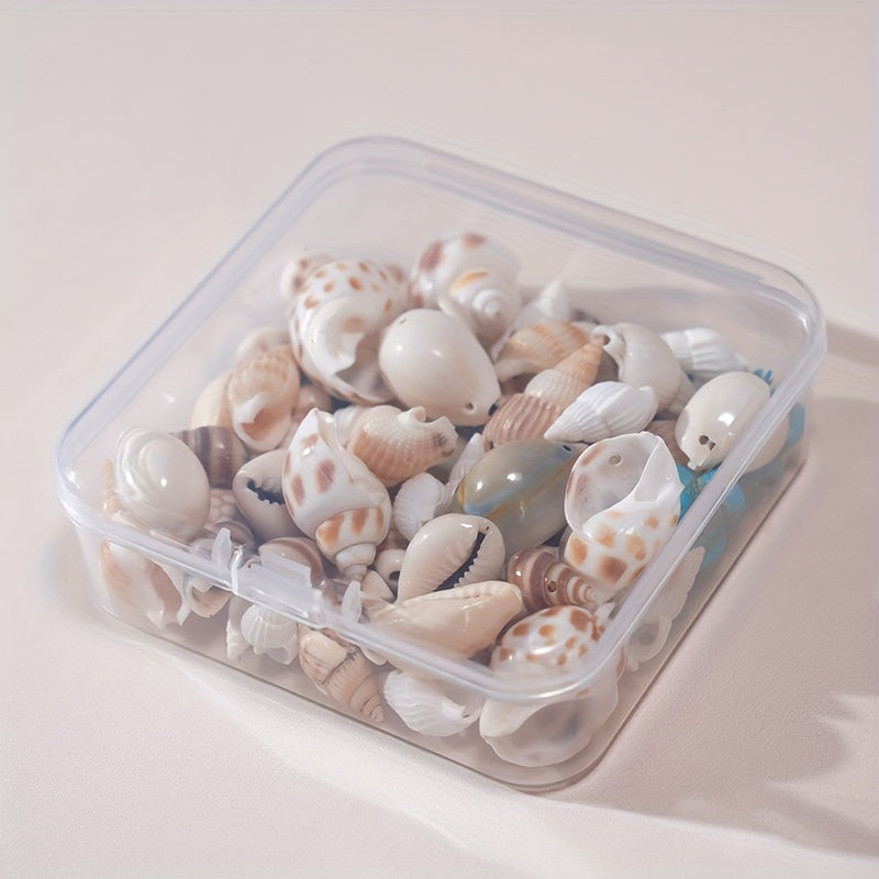 Set of 65 Natural Shell Charms for Jewelry Making Includes Shells Starfish Turtle and Hand-Drilled Holes