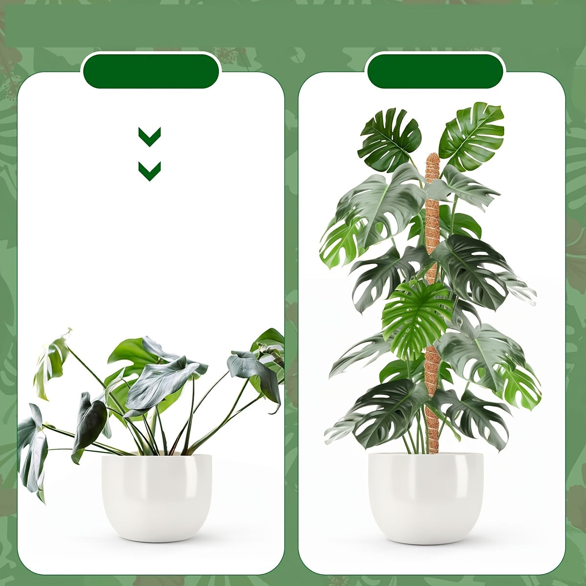 2-Pack Metal Moss Poles for Monstera Climbing Plants Indoor Garden Vine Support Stakes with Coconut Fiber Rope