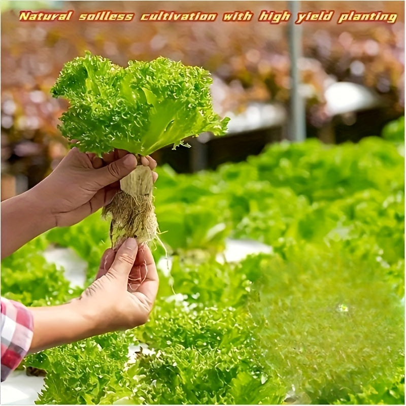 50/100 Pcs Hydroponic Rock Wool Plant Seedling Growing Medium for Cultivation