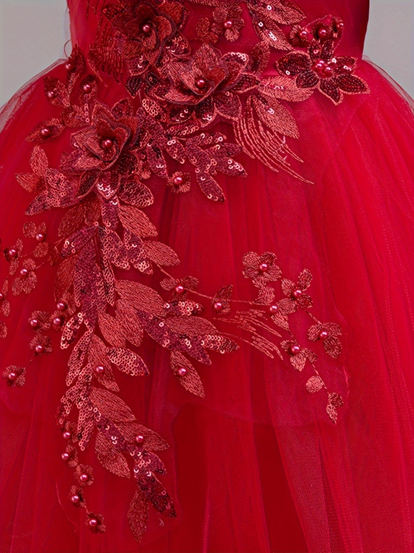 Girls Embroidered Mesh Ball Gown Dress for Parties and Holidays Long Length