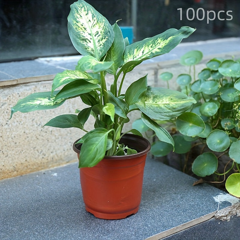 100pcs Two-Color Plastic Seedling Flower Pots with Drainage Holes for Nursery and Garden