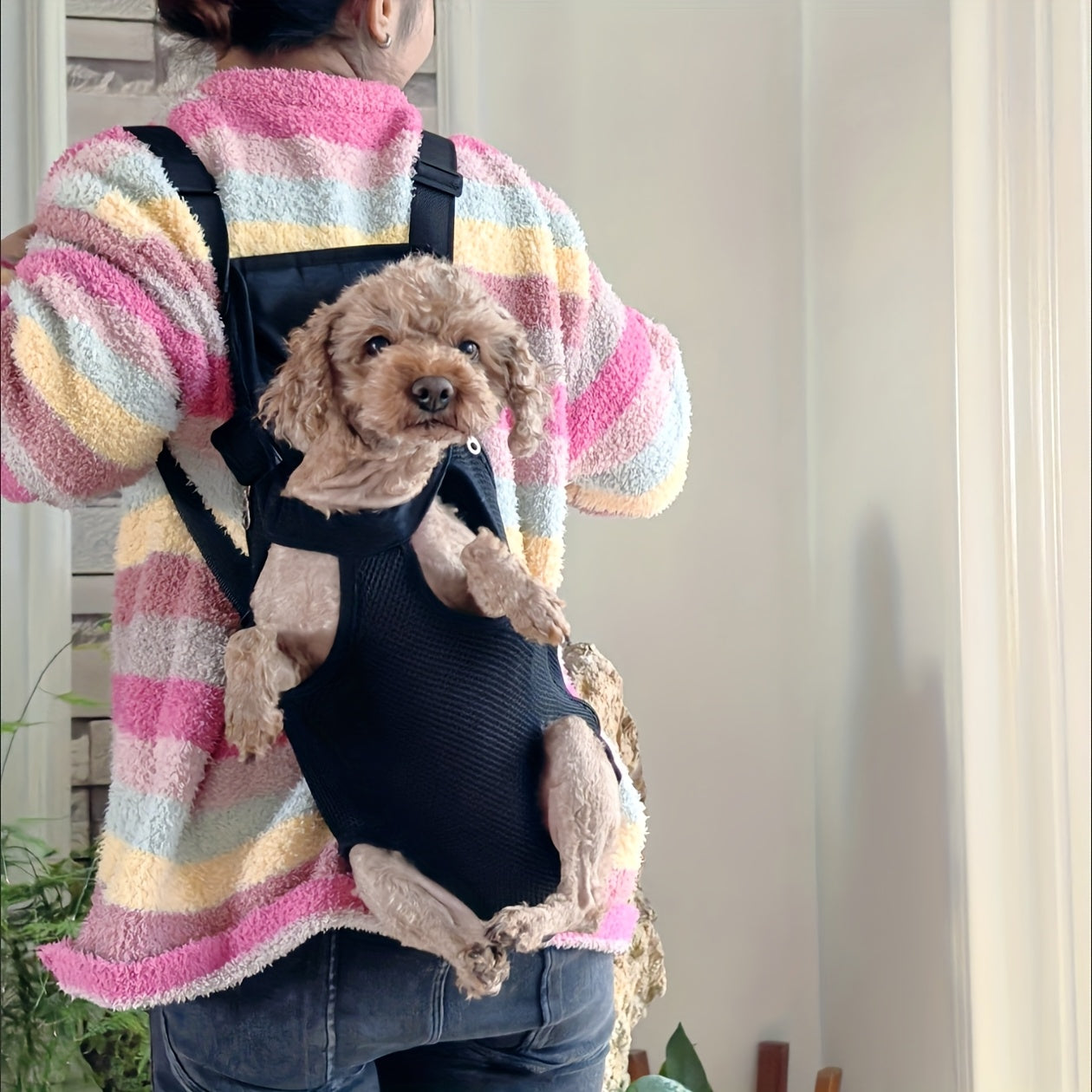 Pet Backpack for Small Dogs and Cats Breathable Mesh Zipper Carrier with Comfort Straps