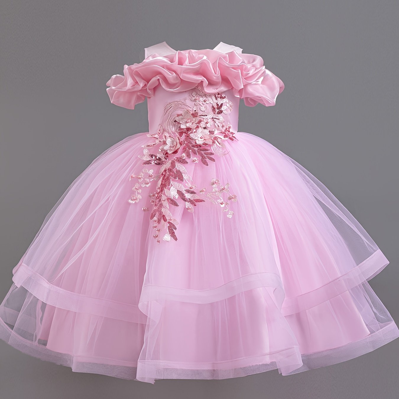 Girls Embroidered Mesh Ball Gown Dress for Parties and Holidays Long Length