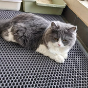 Large Dual-Layer EVA Cat Litter Mat for Easy Cleanup and Splash Prevention