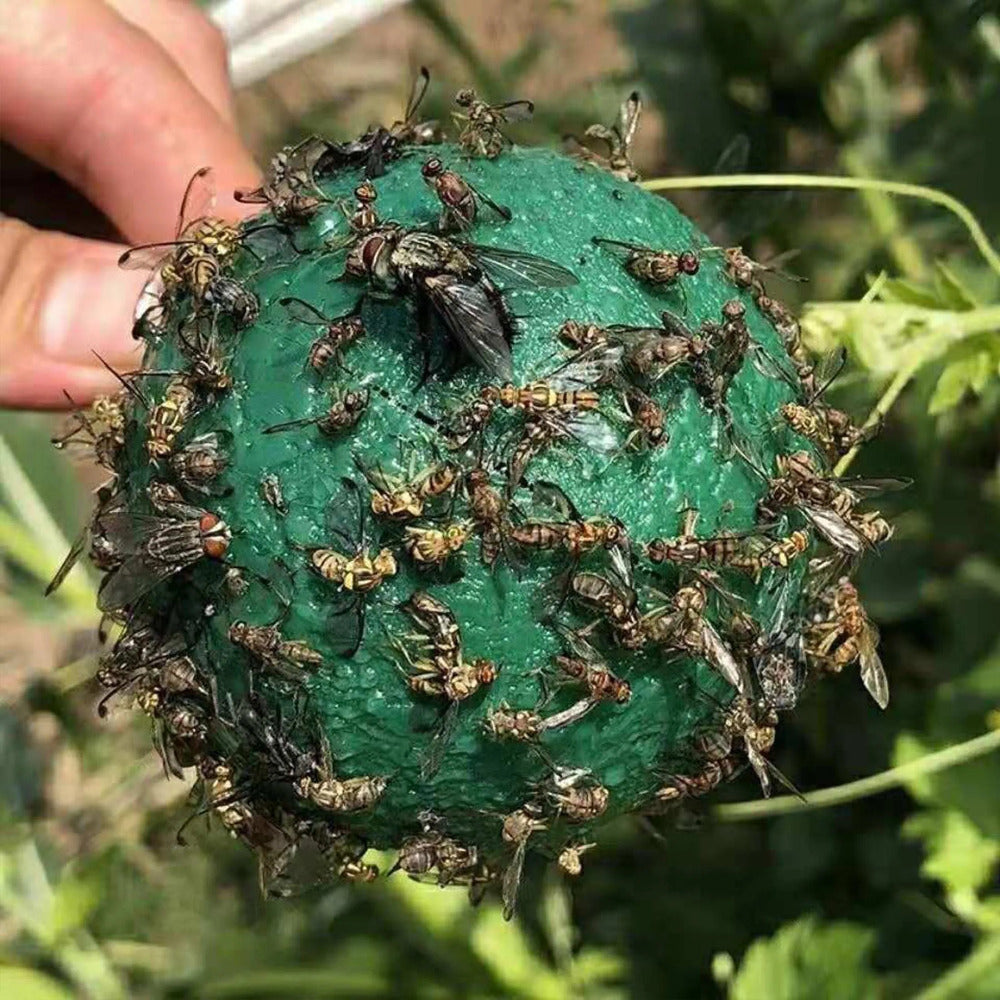 Paquete de 2 trampas multiusos para insectos de la fruta para cocina, jardín y cítricos