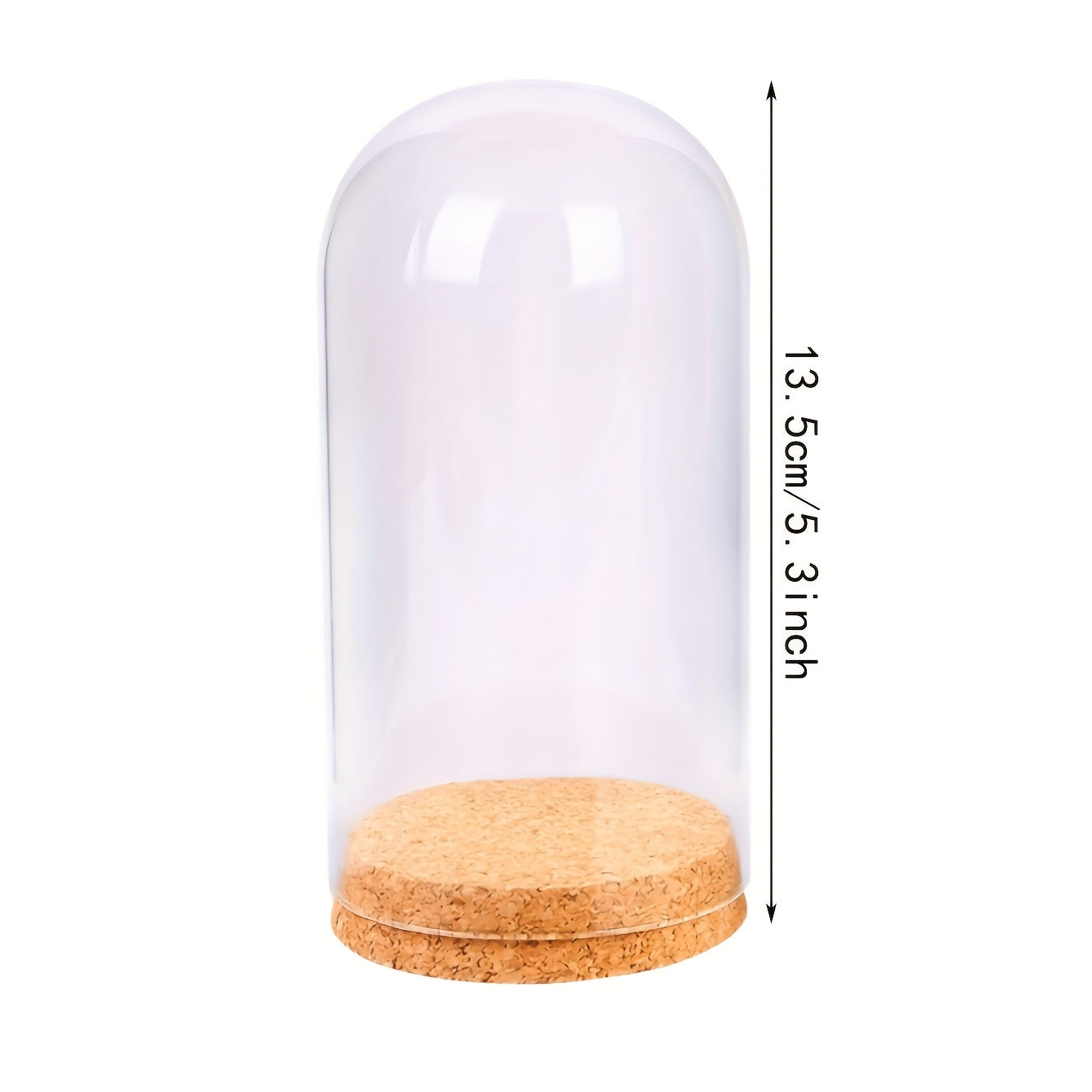 Vitrina de vidrio en forma de cúpula con base de corcho para paisajes en miniatura y flores